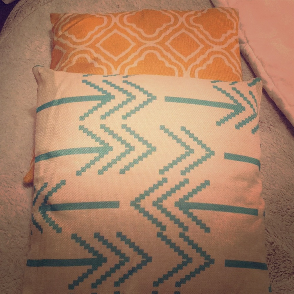Two cute throw pillows!